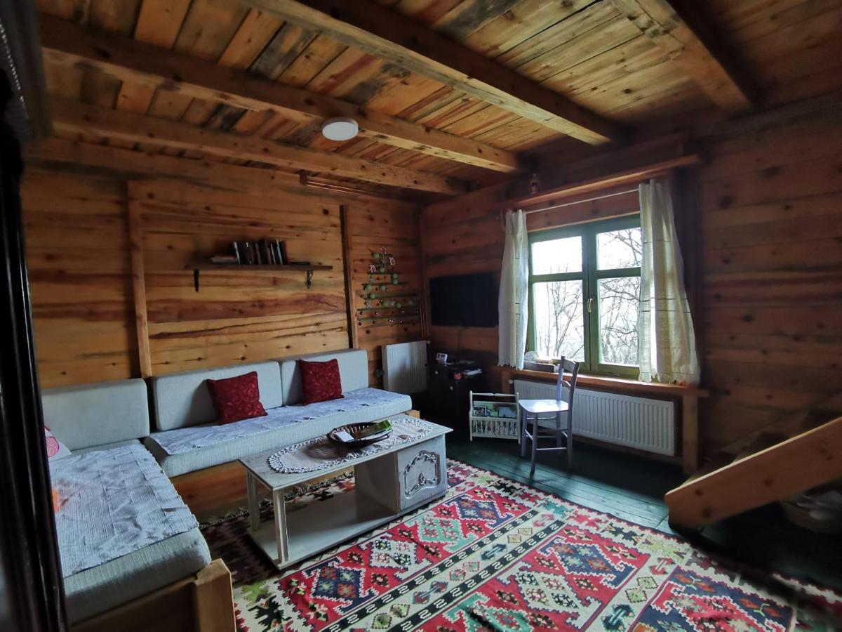 Chalet Belino Sokace Užice エクステリア 写真