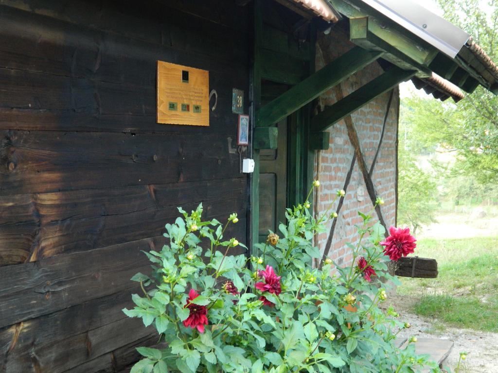 Chalet Belino Sokace Užice エクステリア 写真