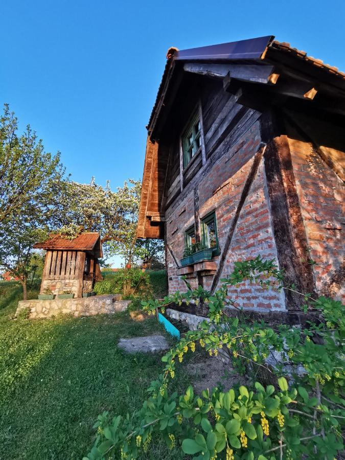 Chalet Belino Sokace Užice エクステリア 写真